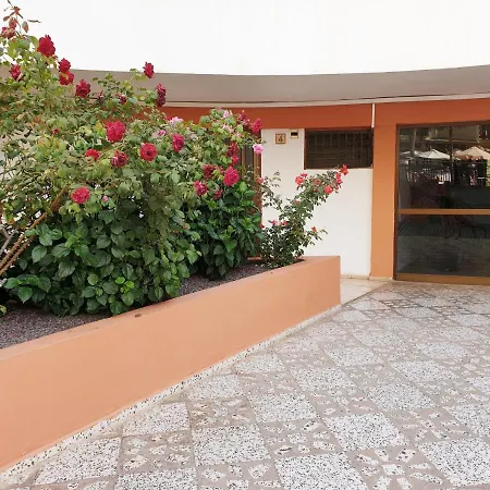 Sea View Apartment In Los Cristianos Tenerife 아파트 아로나